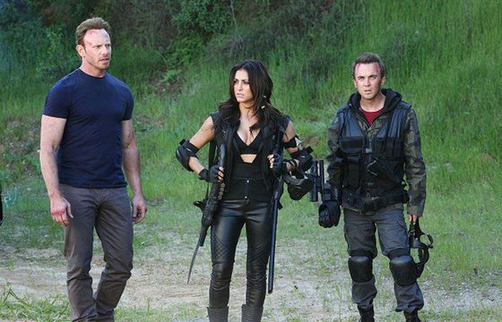 "Rekinado" wraca w sierpniu