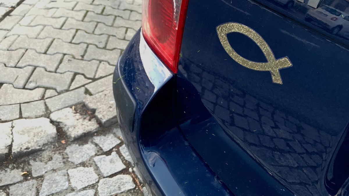 Naklejka z rybą na aucie