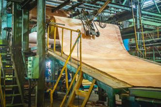 Sprowadzali sklejkę oraz listwy z Rosji i Białorusi. Grozi im 30 lat więzienia