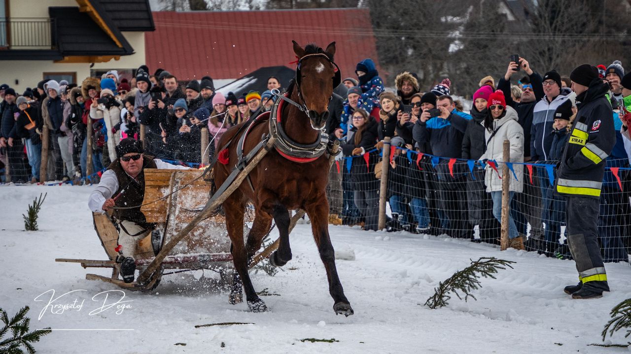 Kumoterki, Parada Gazdowska, skiring, ski-skiring, Ząb, Podhale