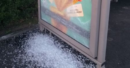 Rzucił się na wiatę przystankową. Wiek sprawcy szokuje