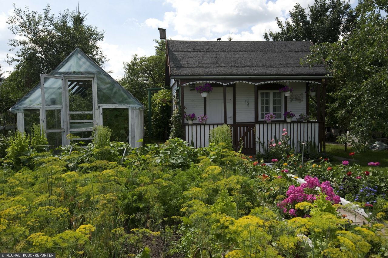 Działkowcy mogą odetchnąć z ulgą. Przełom ws. ujęć wody
