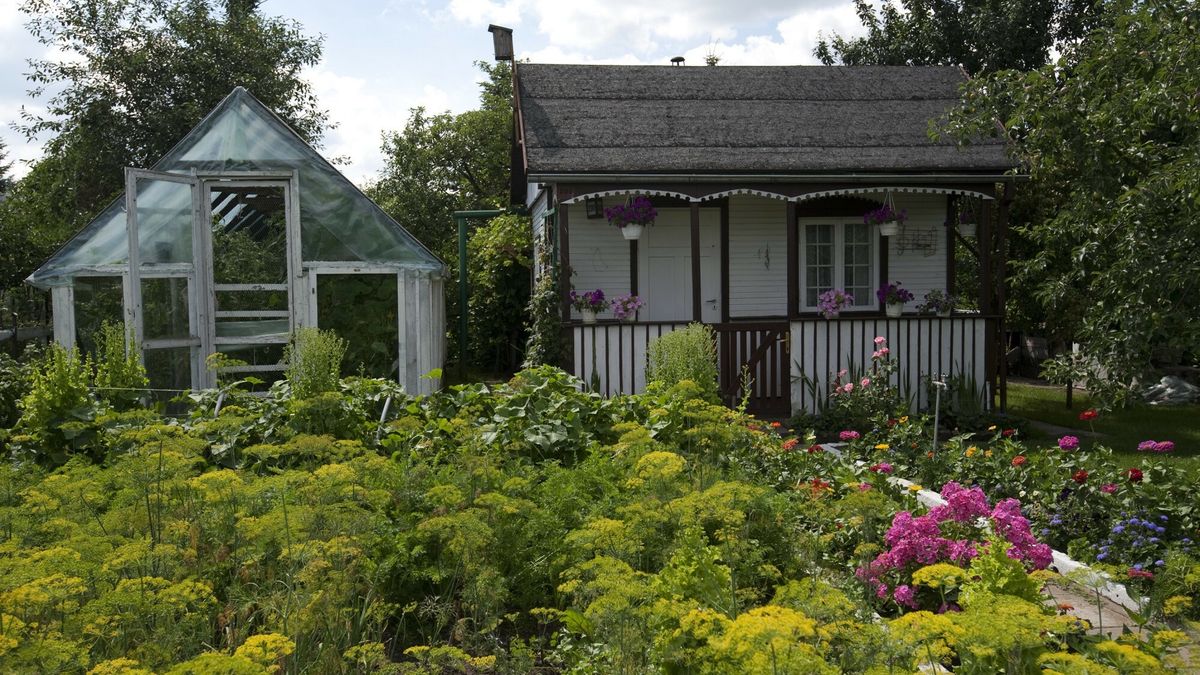 Ogrodki dzialkowe
13.07.2012 Bialystok n/z ogrodki dzialkowe "Relaks" przy ul Ciolkowskiego fot.Michal Kosc/AGENCJA WSCHOD/REPORTER
Kosc/AGENCJA WSCHOD/REPORTER