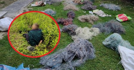 Kłusownik zatrzymany na gorącym uczynku. Oto, co znaleźli w jego domu