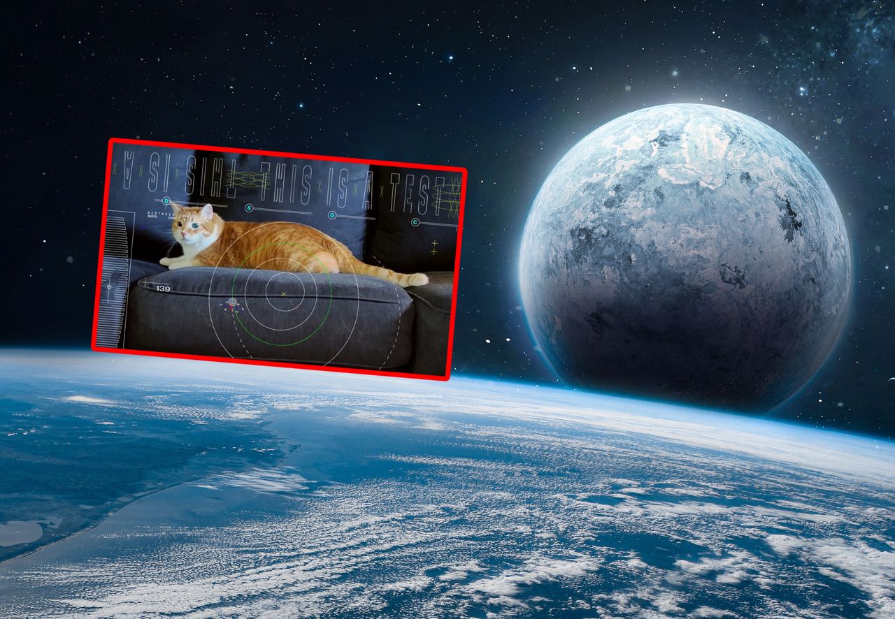 "Recording with a cat that covered 31 million km"