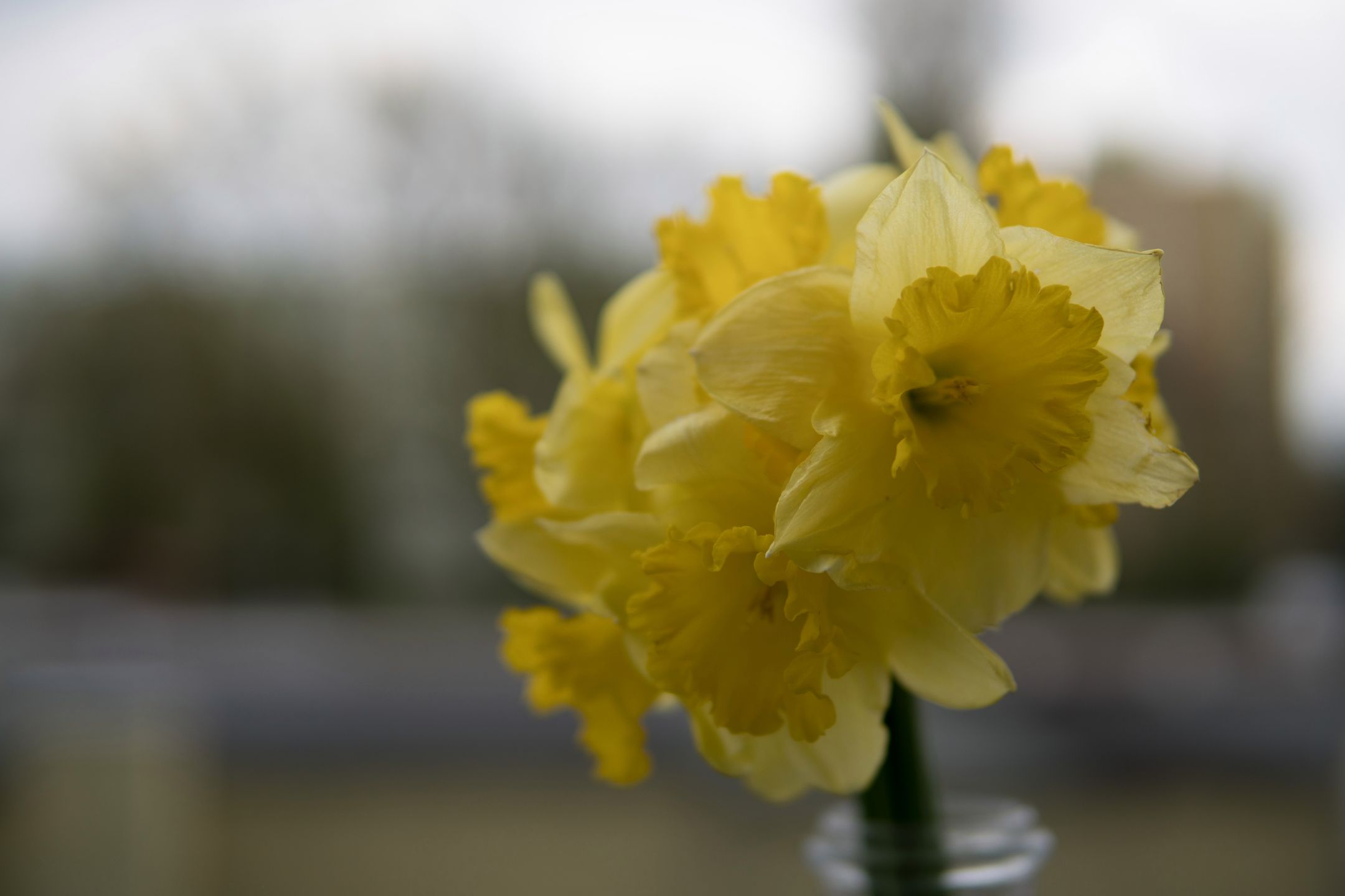 Sigma 30 mm f/1.4 DC DN - recenzja jasnego obiektywu stworzonego z myślą o bezlusterkowcach 22