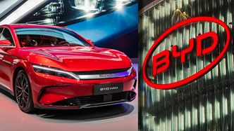 Problemy BYD w Chinach. Upadł duży dealer, salony zamknięte