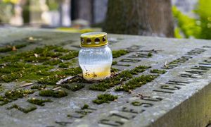 Wylej na grób, a mech spłynie. Po 10 minutach będzie jak nowy