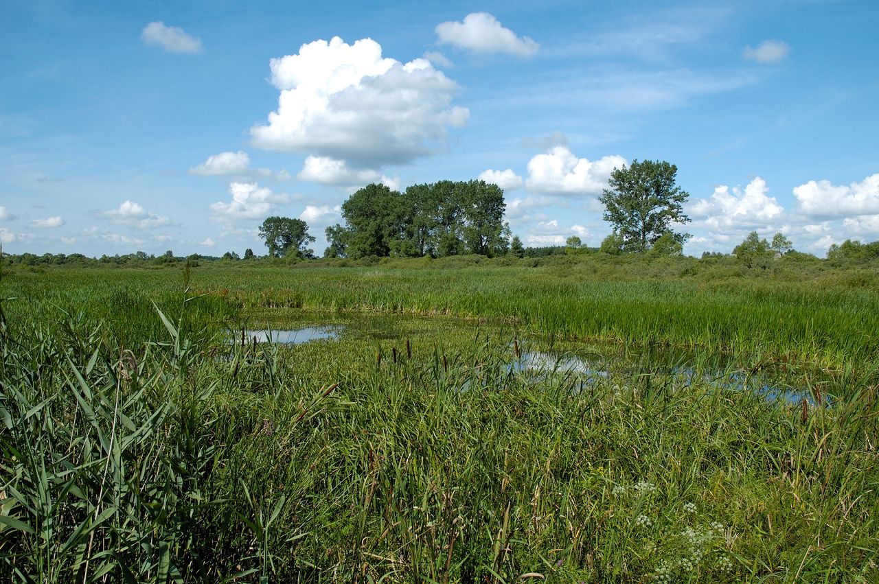 NIK skontrolował parki narodowe. Izba zawiadomiła prokuraturę