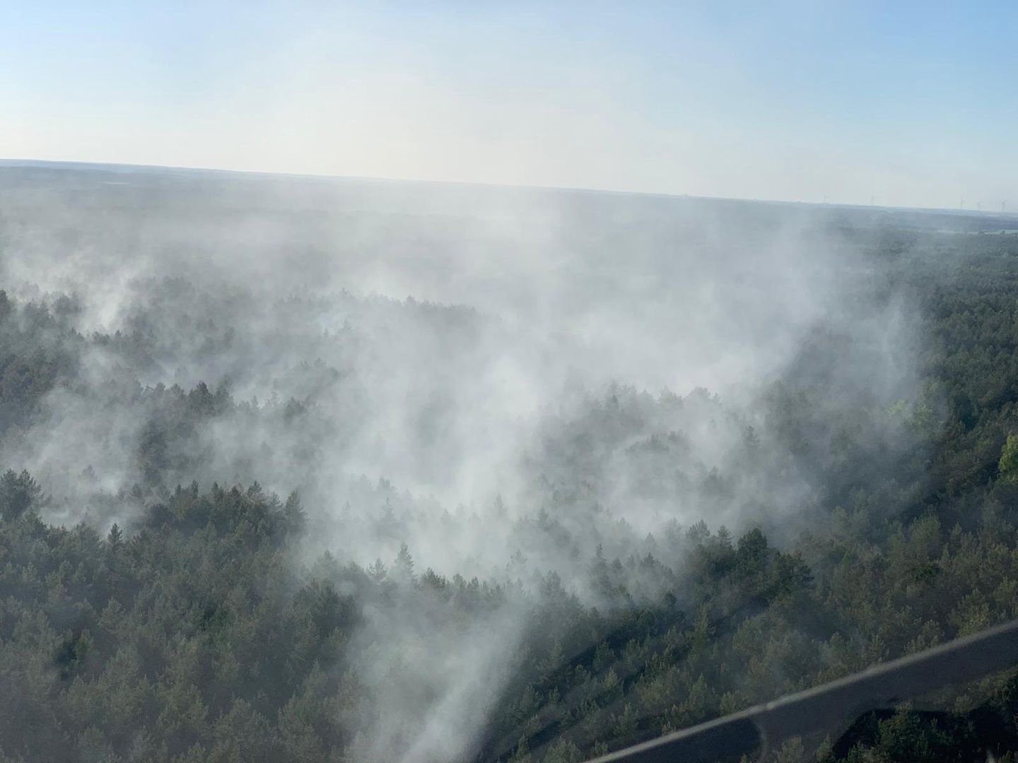 Pożar otuliny Puszczy Białowieskiej. Spłonęło 10 hektarów lasu [aktualizacja]