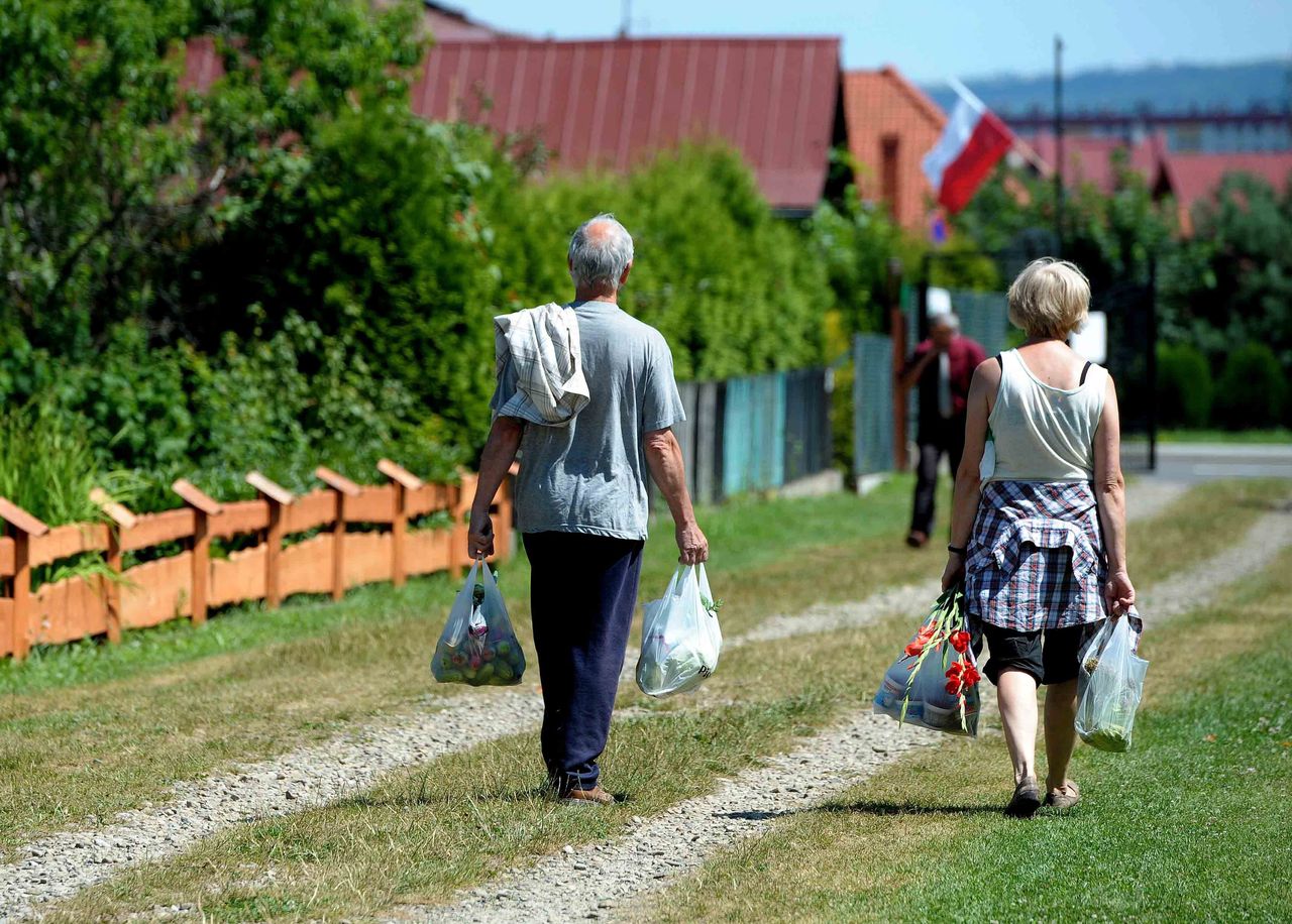 Ogródki działkowe przeżywają renesans. Wśród działkowców coraz więcej młodych