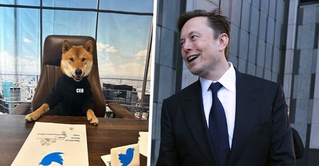 Elon Musk twierdzi, że nie jest prezesem Twittera. Firmą "zarządza jego pies"