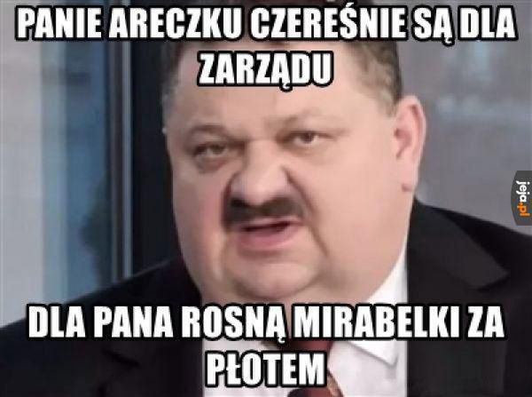 Memy o czereśniach