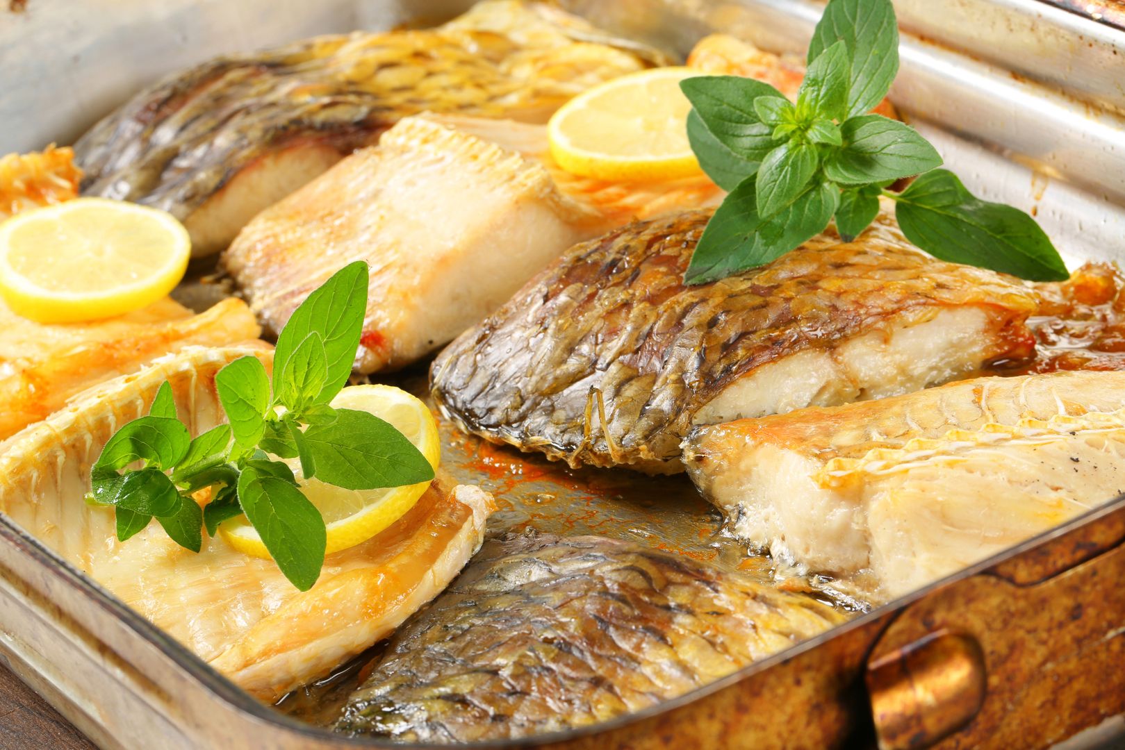 Oven baked carp fillets in baking panOven baked carp fillets in baking pancarp, fish, fillets, baked, roasted, oven baked, skin-on, pieces, slices, lemon, crispy, food, lunch, healthy, baking pan, baking tin, metal, dish, pan, freshwater fish, food preparation, closeup