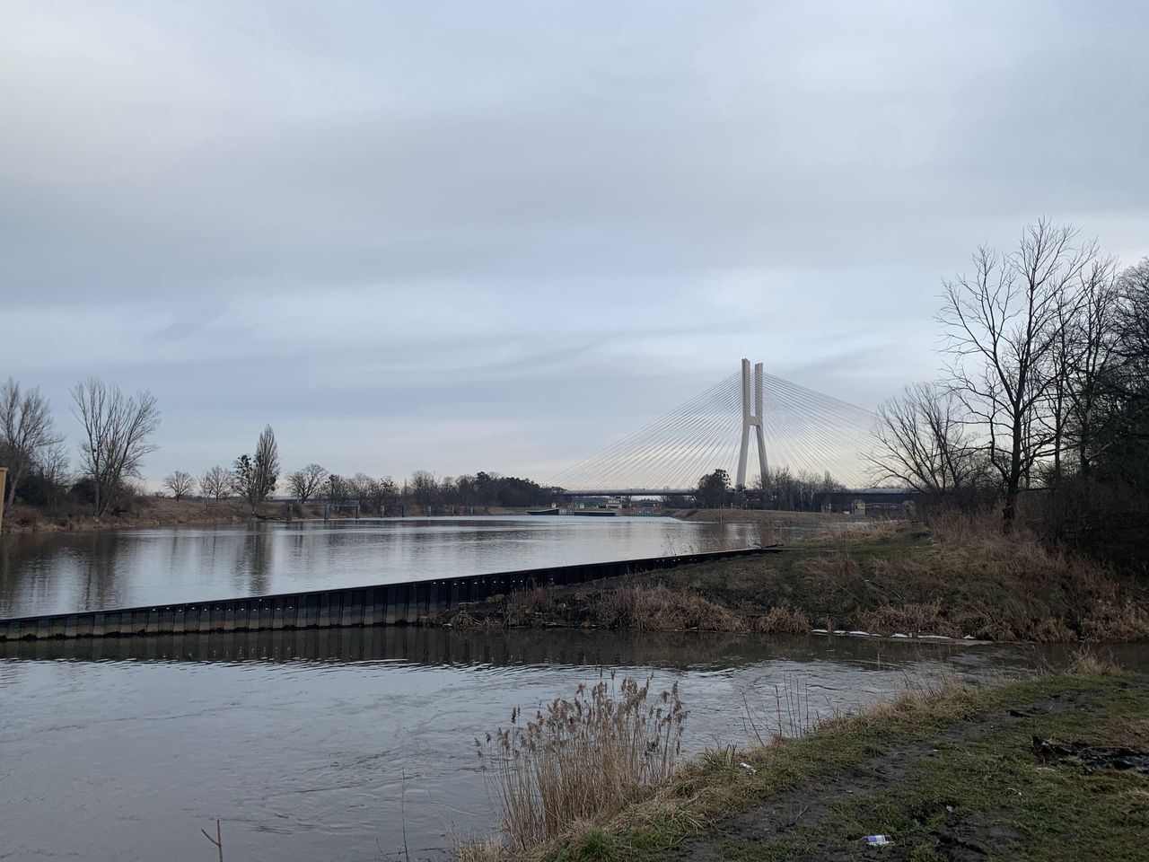 Wrocław. Sprzątanie wałów nad Odrą 10 kwietnia. Pomóc może każdy