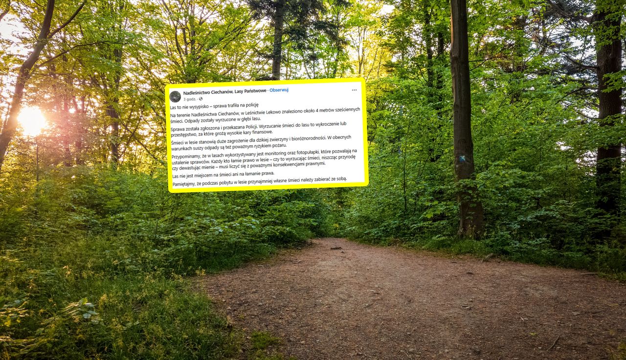 Miarka się przebrała. Leśnicy donieśli na policję
