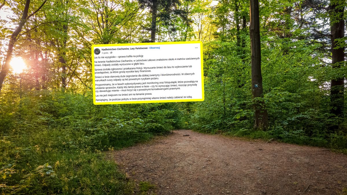 Leśnicy donieśli na policję.