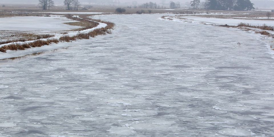 Zamarznięta rzeka (fot. Jan KUCHARZYK/East News)