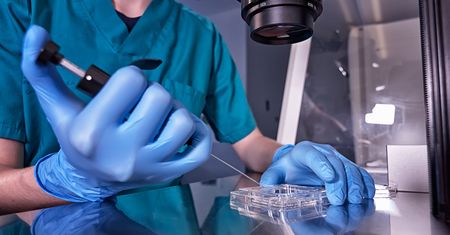 Zdecydowali się na in vitro. Doszło do fatalnej pomyłki