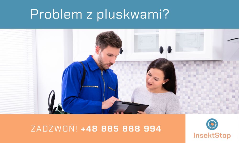 pluskwy pomoc dezynsekcja  