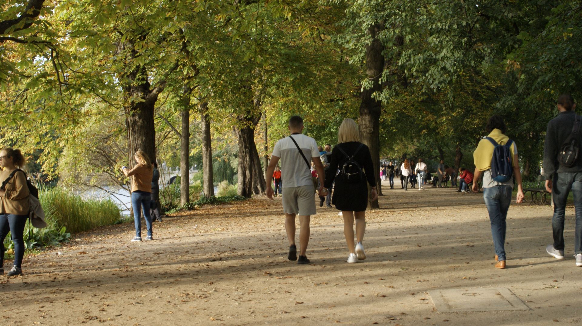 Wrocław. Pogoda. 6 października - chłodniej, ale bez deszczu. Opady wrócą w środę