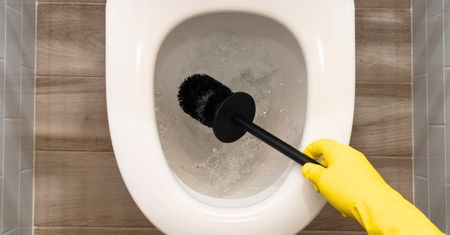 Każdy ma go w domu. Wystarczy 15 minut i toaleta lśni jak nowa