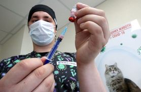 Koronawirus w Polsce. Mieszanie szczepionek od różnych producentów powinno być możliwe? "System nie patrzy na dobro pacjenta"