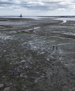 Susza na Wyspach. Eksperci ostrzegają przed najgorszym