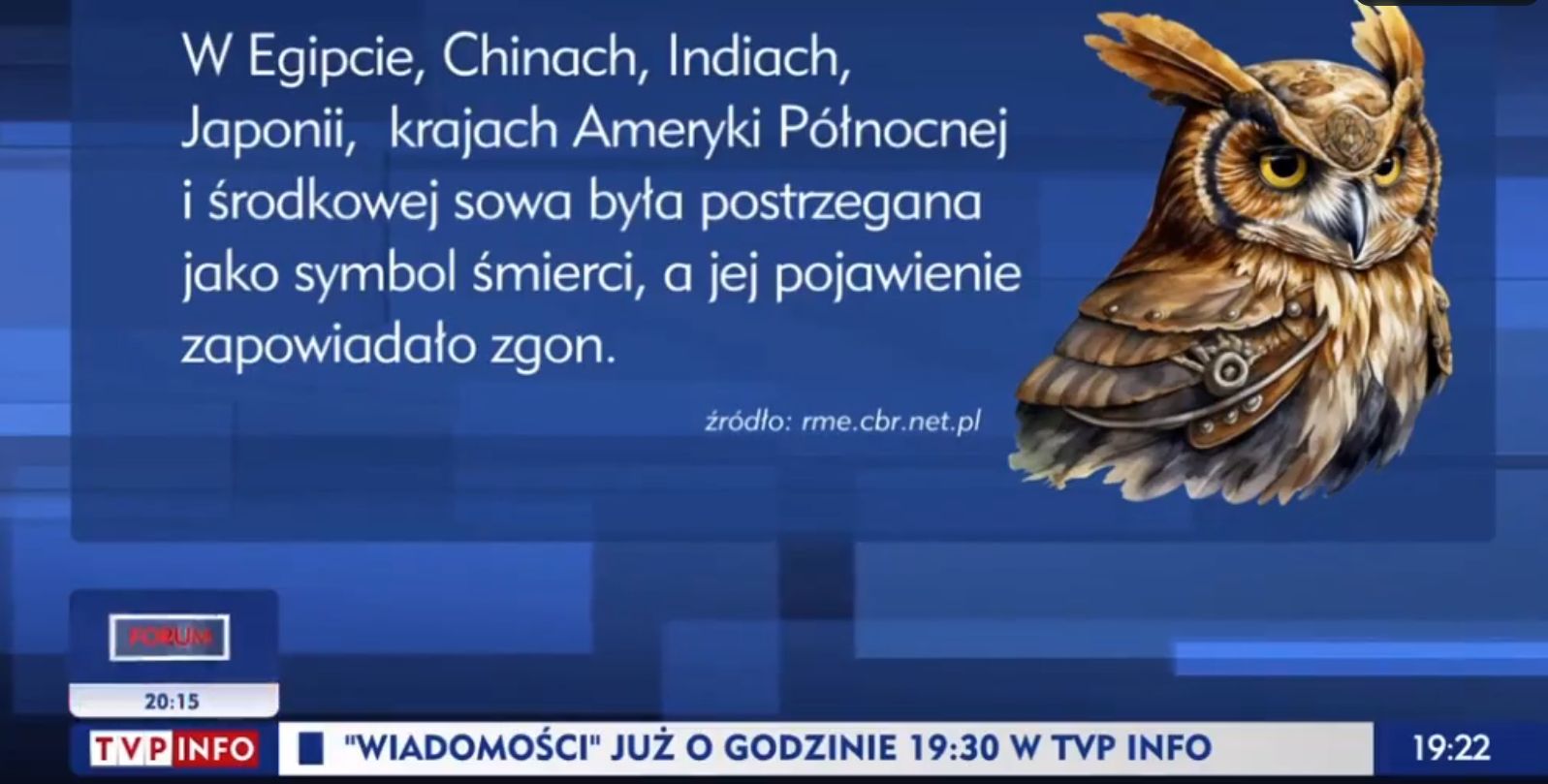 Absurdalny materiał w TVP. Co mają wspólnego Szymon Hołownia i sowa?