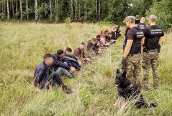 Podlasie. Setki nielegalnych imigrantów na granicy