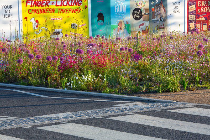 Magdalena Wasiczek z nagrodą Grand Prix konkursu International Garden Photographer of the Year 2015 8