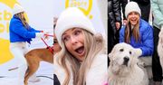 Śnieżynka Małgorzata Rozenek tuli pieski i uczy się boksować na planie "DD TVN"! Zaangażowana prowadząca? (ZDJĘCIA)