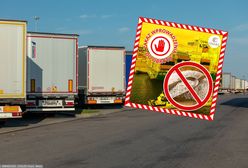 Miał być ekologiczny, wykryto w nim pełno chemii. To było w ryżu