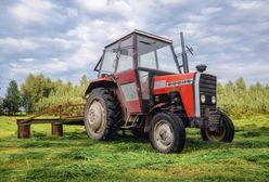 Ataki na rolników. Ktoś zostawiał w polach "złote kolby"