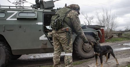 "To jest cyrk". W ługańskim parapaństwie panika przed "łapanką" do wojska i drożej niż w Moskwie