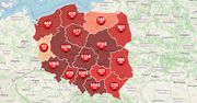 Koronawirus. Nowe przypadki zakażeń w Polsce i ponad 4 mln chorych na świecie [Mapa]