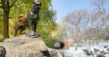 Central Park ciągle się zmienia. Widać to na wyjątkowym timelapsie
