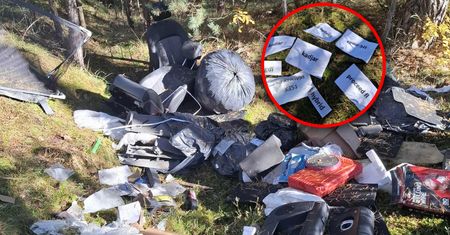 Skandal w lesie pod Toruniem. Poruszający wpis leśników