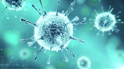 Nowy wirus świńskiej grypy. Chińscy naukowcy mocno zaniepokojeni