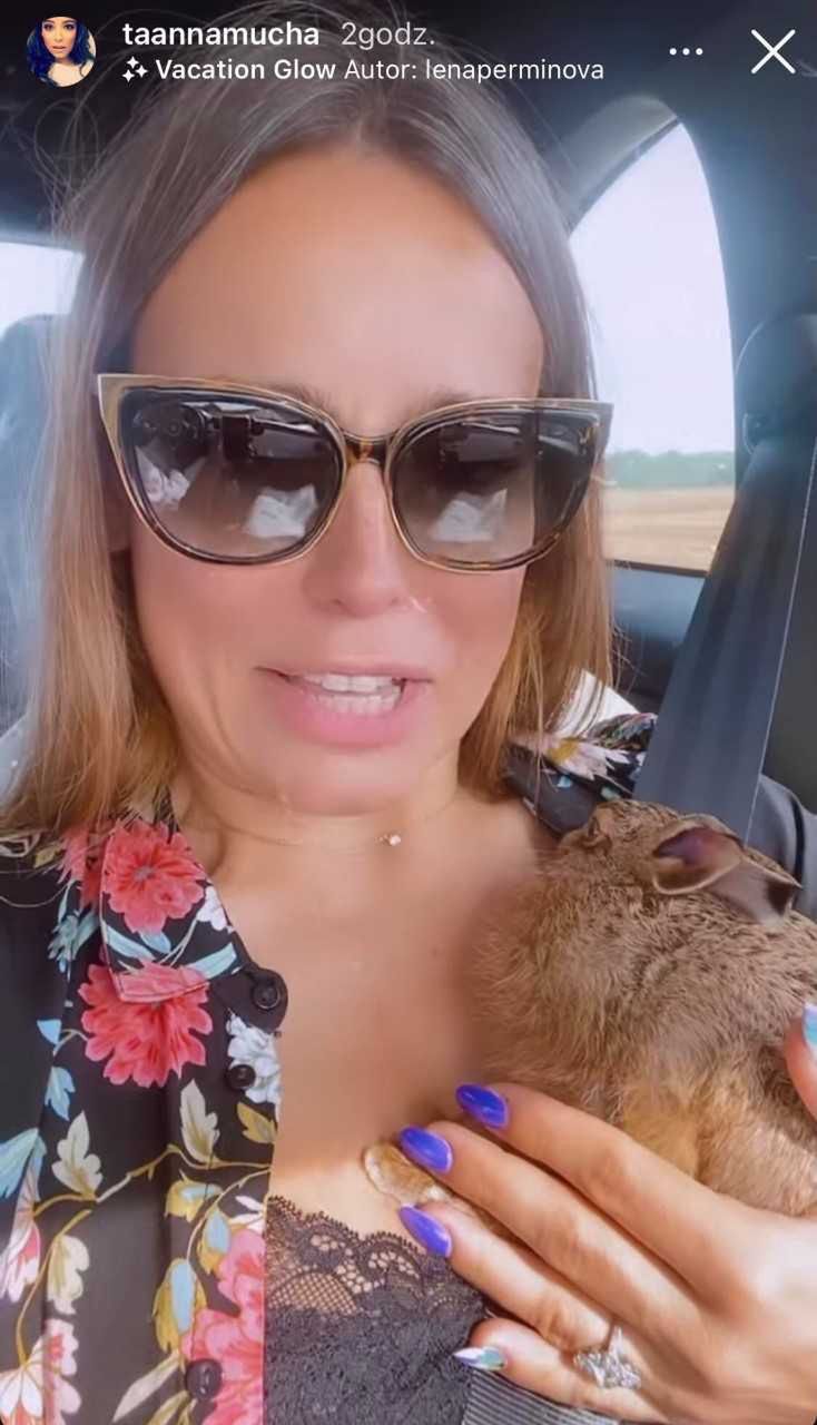Anna Mucha ratuje zająca