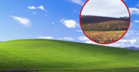 Tak teraz wygląda to miejsce z kultowego tła Windows XP. "To smutne"