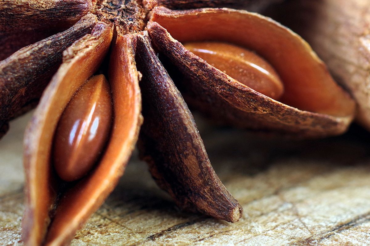 Anyż gwiaździsty wyróżnia intensywny smak i aromat