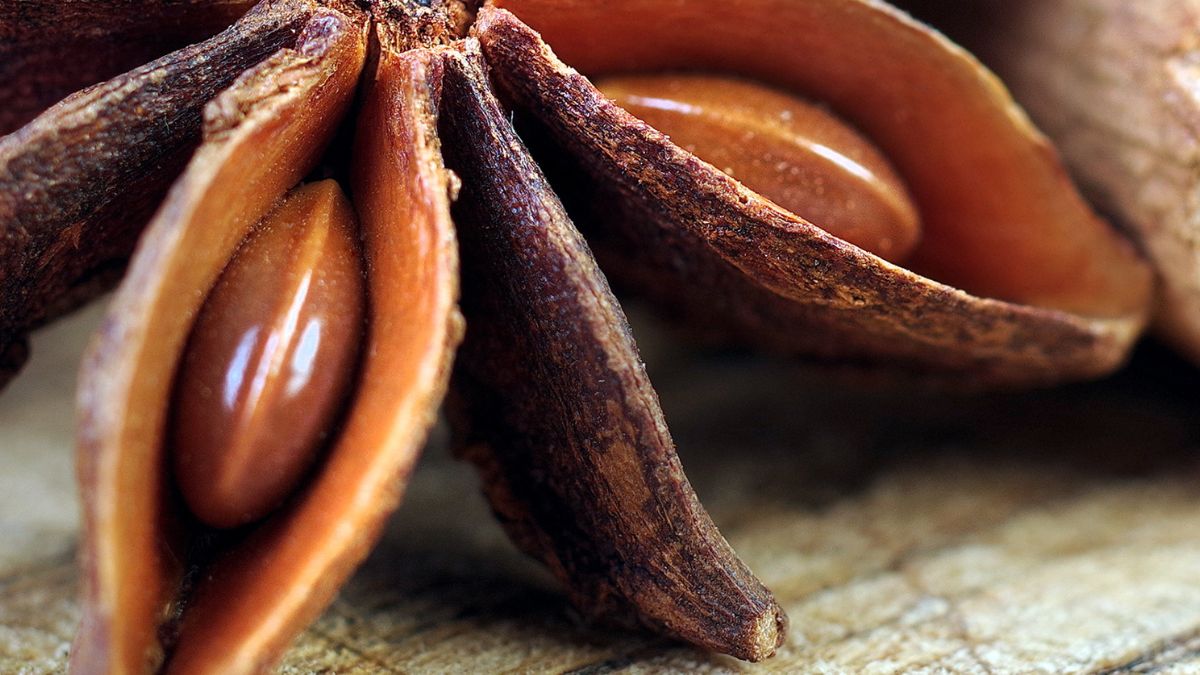 Anyż gwiaździsty wyróżnia intensywny smak i aromat