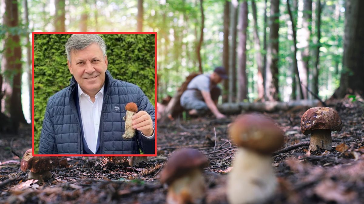 Janusz Piechociński mówi o minionym sezonie grzybobrania