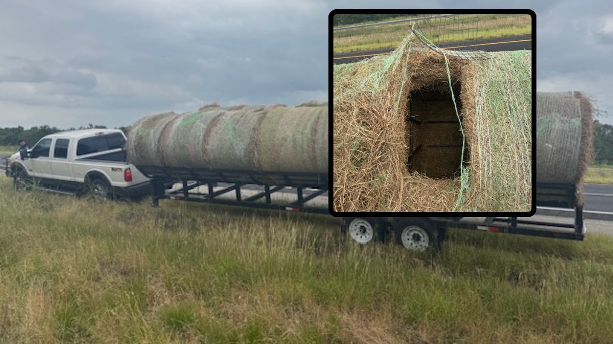 Nietypowy sposób na przemyt ludzi. Odkryto to przypadkowo