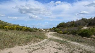 Gorzów: Chcą mieć oko na murawy. Czy w jedynym rezerwacie przyrody w Gorzowie pojawi się monitoring?