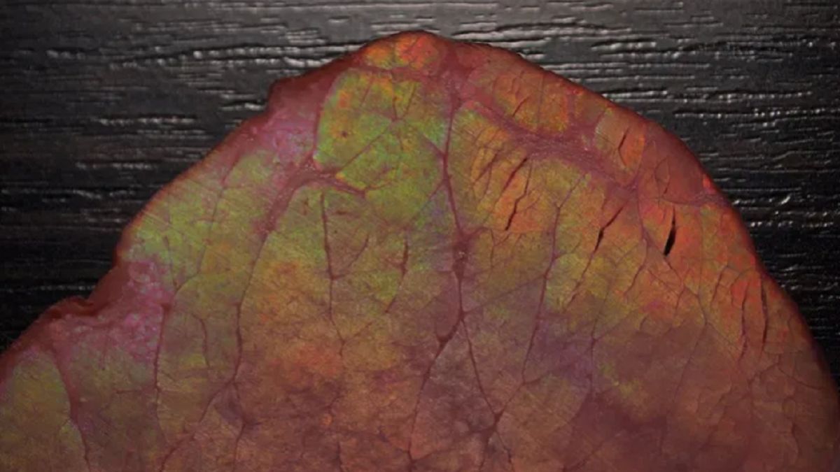 Wielu zastanawia się, co oznacza tęczowa poświata na wędlinie