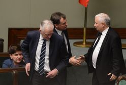 (U)Bój rytualny w obozie władzy. Jarosław Kaczyński chce zlikwidować branżę futrzarską, koalicjanci PiS hamują prezesa