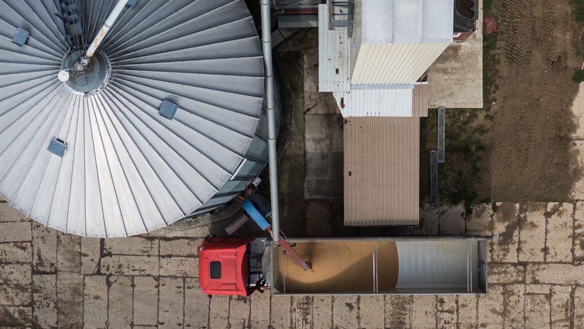 ROGOW, POLAND - SEPTEMBER 25: An aerial view showing a truck loading wheat from silos in Wieslaw agricultural farm on September 25, 2023 in Rogow, Poland. Wieslaw, who manages an agricultural farm, a family business since 1785. This year he sold 800 tones of wheat 30% under the market price and has 3000 tones of the same product in storage without a buyer as throughout the year, Ukrainian wheat flooded the Polish market. His farm, annually produces an average of 4000 tones of wheat, 3000 tones of corn and also white beet.  Trade and diplomatic issues between Ukraine and Poland surrounding honey, wheat, corn, rapeseed and sunflower seeds produced in Ukraine have sparked discord. (Photo by Omar Marques/Getty Images)