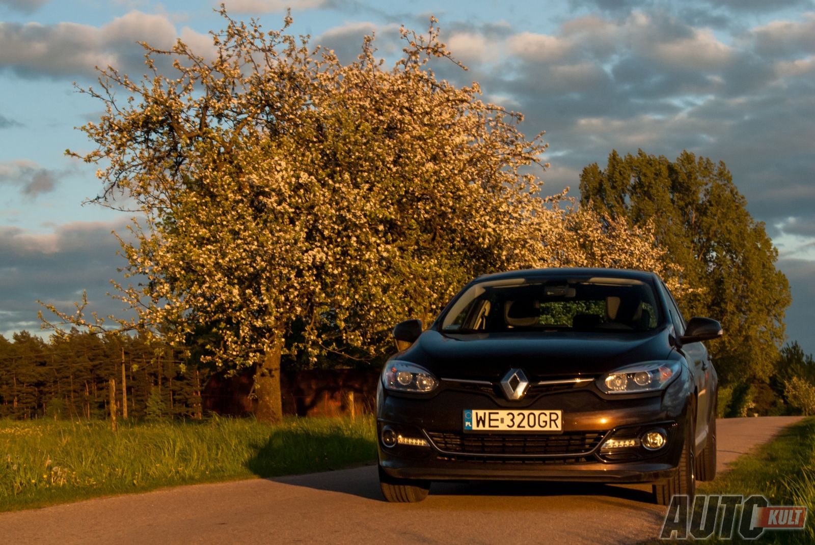 Renault Mégane 5d 1,2 TCe 130 KM BOSE - test [galeria] 31